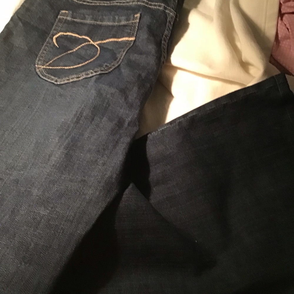 Chico Platinum Jeans